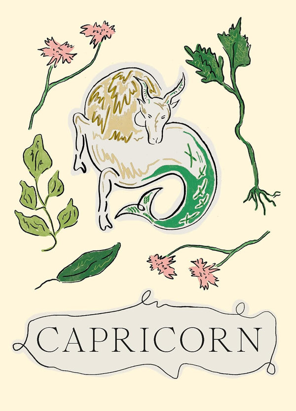 Capricorn (Planet Zodiac Book 4)