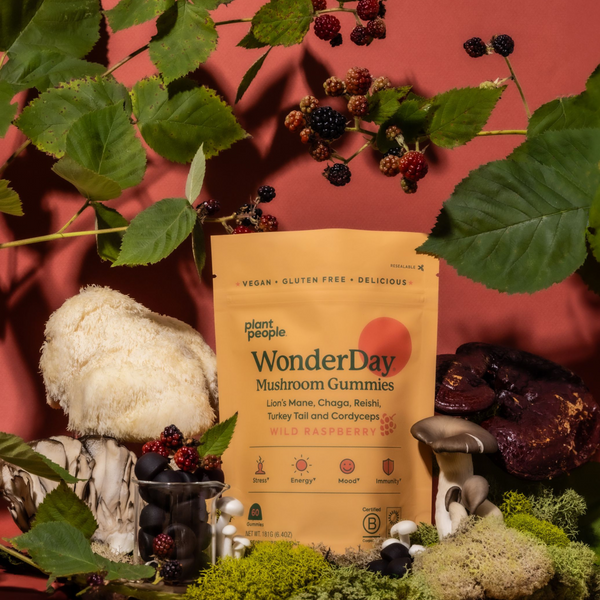Plant People  WonderDay Mushroom Gummies - Grab N' Go