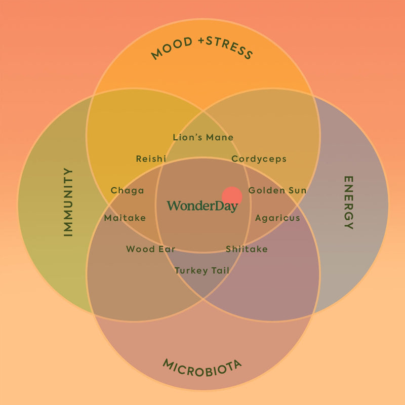 Plant People  WonderDay Mushroom Gummies - Grab N' Go