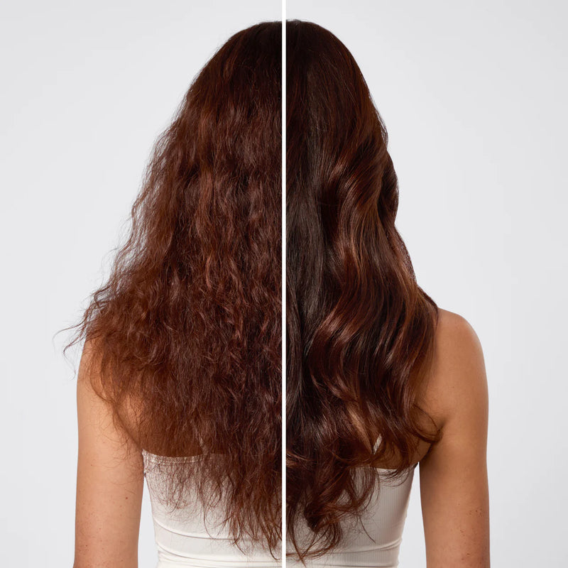 Kit.Sch Repairing Argan Oil Shampoo