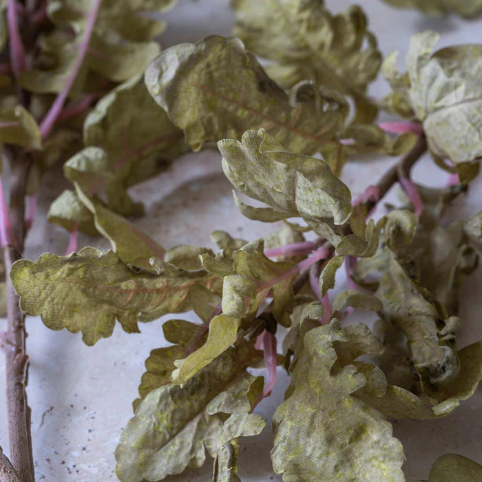 Abigail Ahern Artificial Ragwort