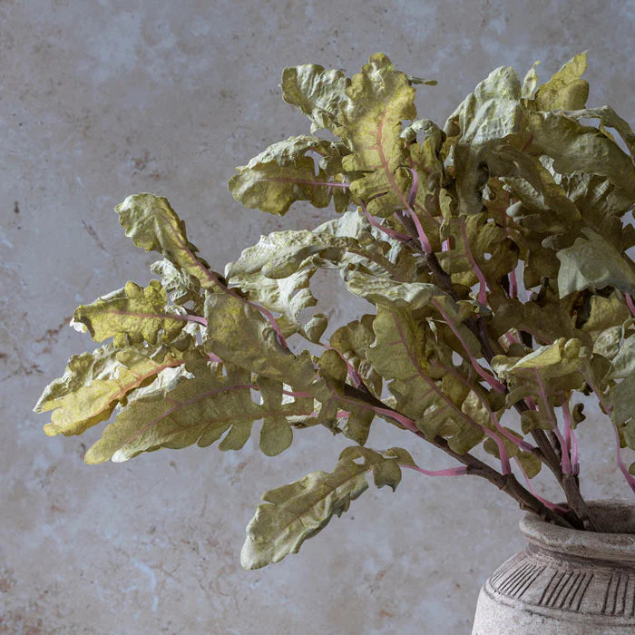 Abigail Ahern Artificial Ragwort