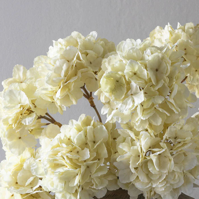 Abigail Ahern Hydrangea Lace Stem