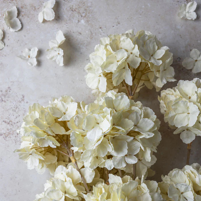 Abigail Ahern Hydrangea Lace Stem