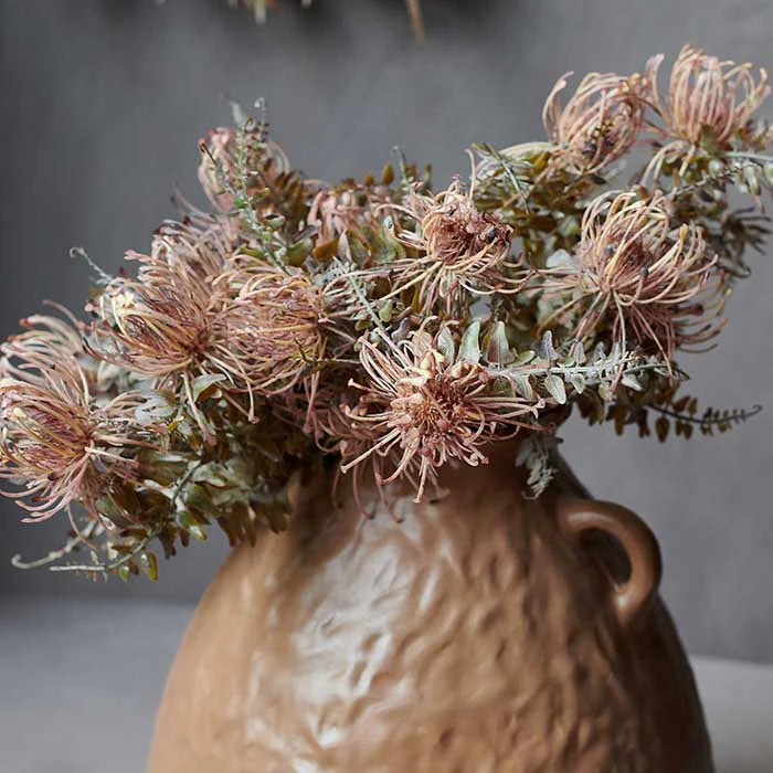 Abigail Ahern Leucospermum Bush