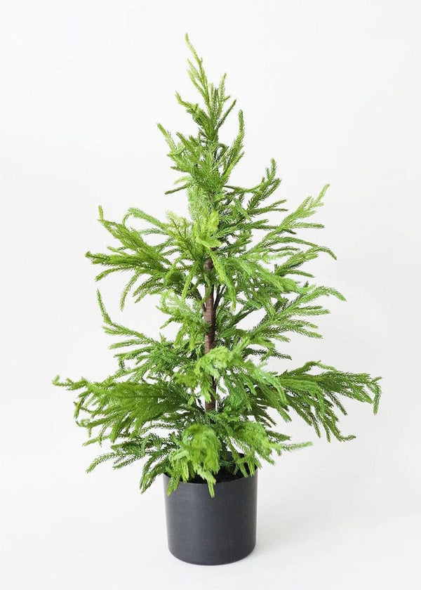 Afloral Afloral Artificial Norfolk Pine Tree - 36"