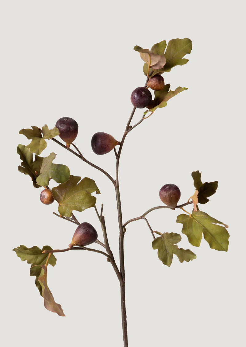 Afloral Dried Look Faux Fig Branch in Eggplant - 37"