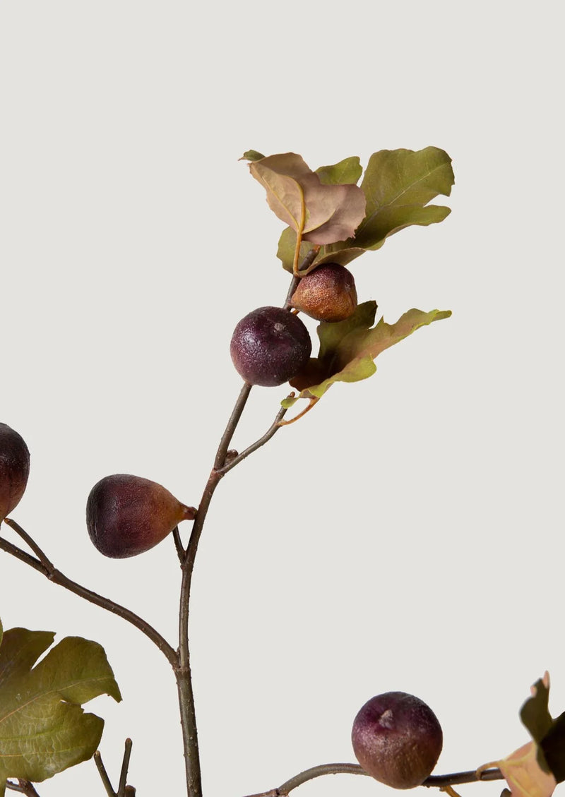 Afloral Dried Look Faux Fig Branch in Eggplant - 37"