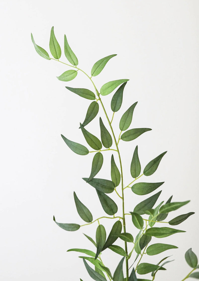 Afloral Fake Leaves Italian Ruscus Branch - 49"