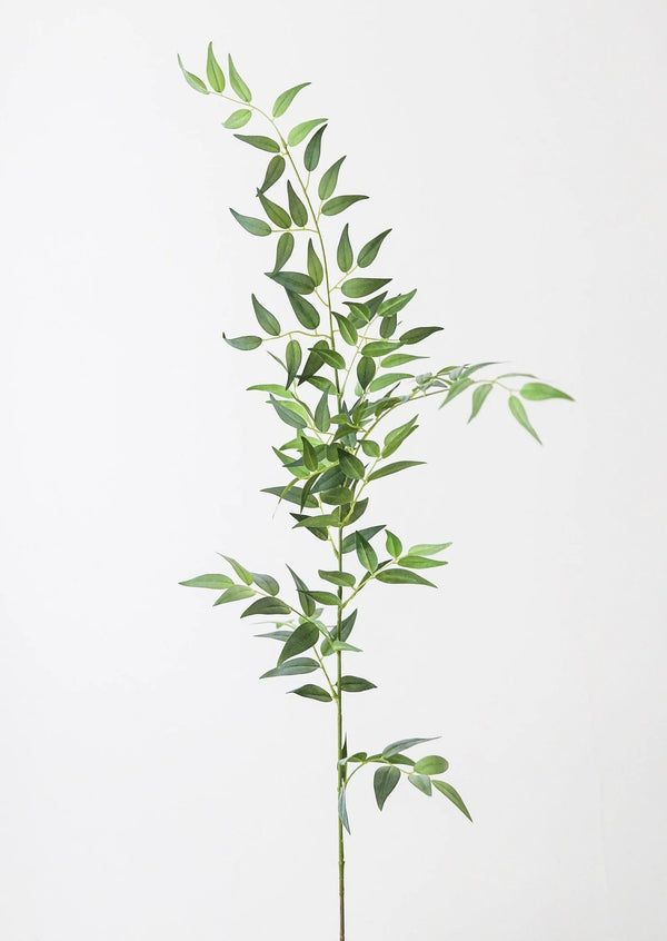 Afloral Fake Leaves Italian Ruscus Branch - 49"