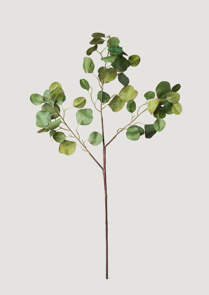 Afloral Faux Silver Dollar Eucalyptus Branch - 39"