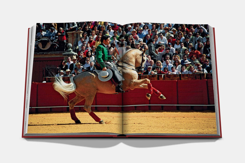 Assouline Sevilla Arte