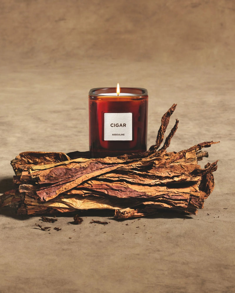 Assouline Library Scented Candle - Cigar