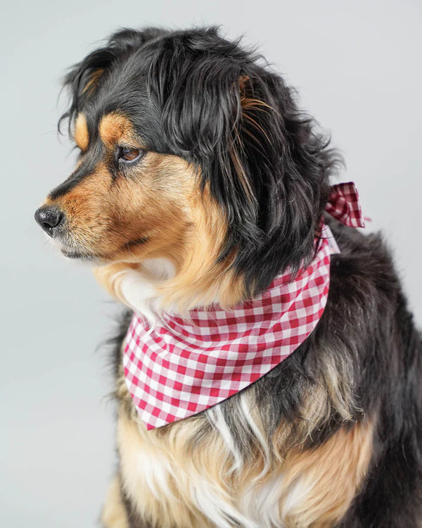 Modern Beast  Neckwear - Berry Gingham