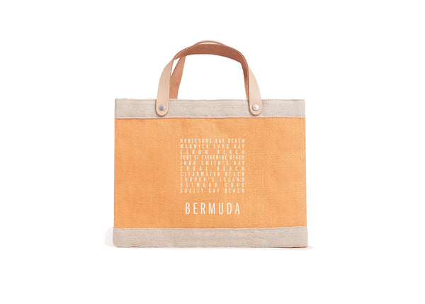 Apolis Petite Market Bag