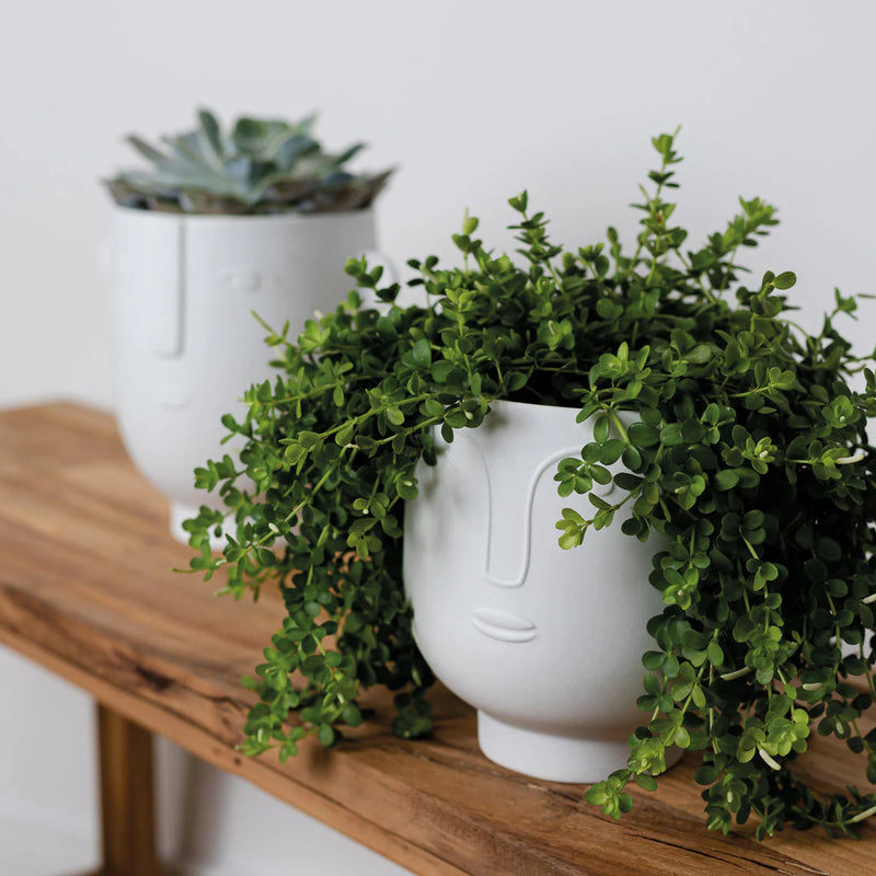 Blomus Flower Pot Nat Frm Floris 6.1