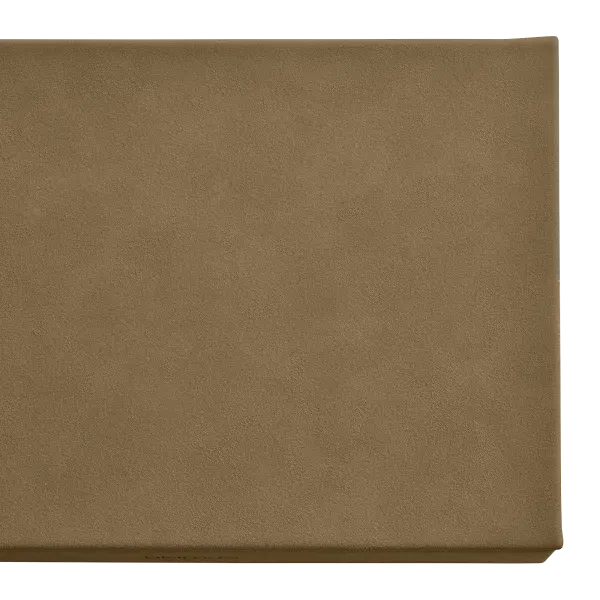 Blomus Jewellery Box M Indn Tan SAHLA