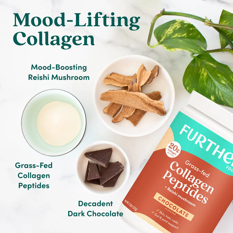 Further Food Chocolate Bovine Collagen - 14 Serve