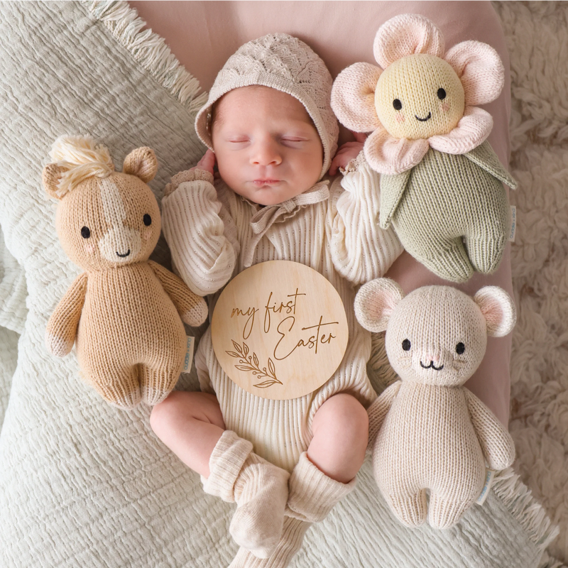 Cuddle and Kind Baby Pony