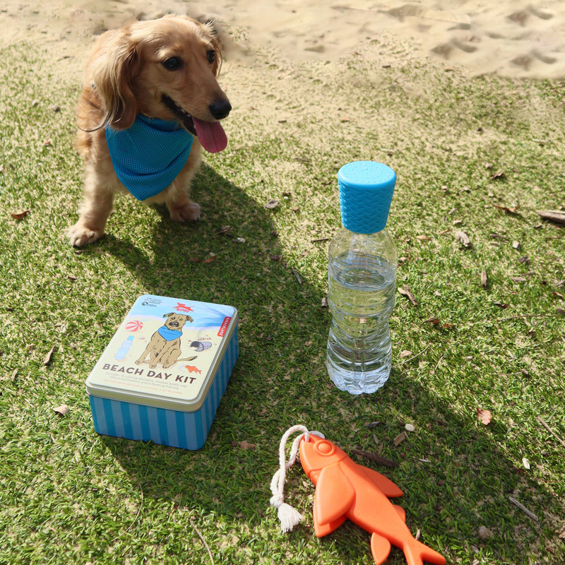 Kikkerland Kobe Beach Day Kit