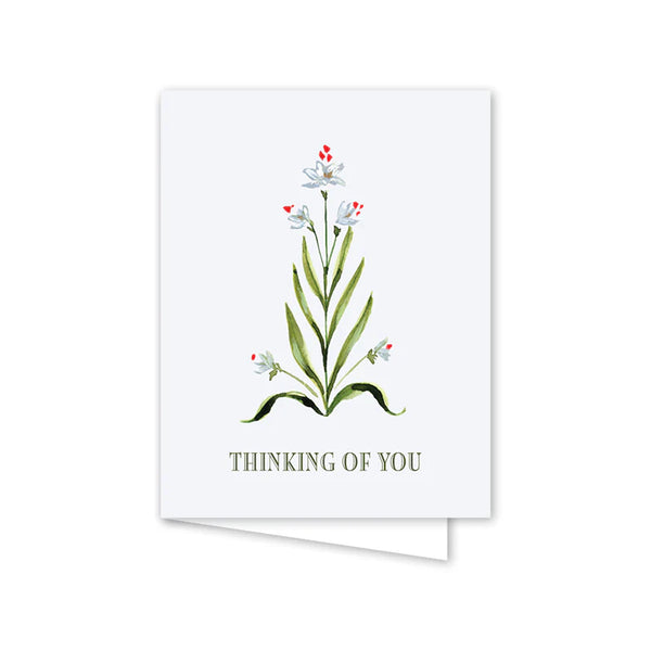 Dogwood Hill Paperwhites Scallop Thinking of You
