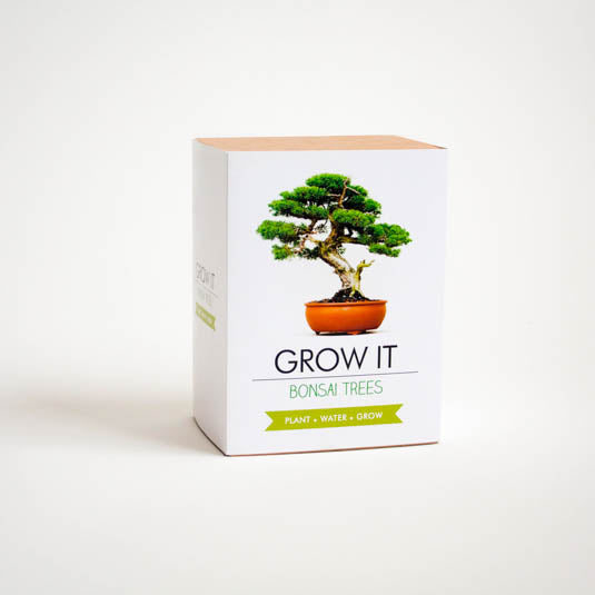 Gift Republic Grow It - Bonsai Trees - Usa
