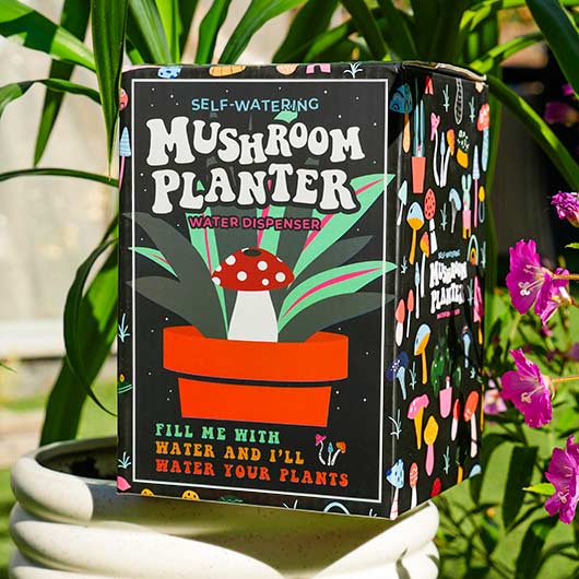 Gift Republic Novelty - Self Watering Mushroom