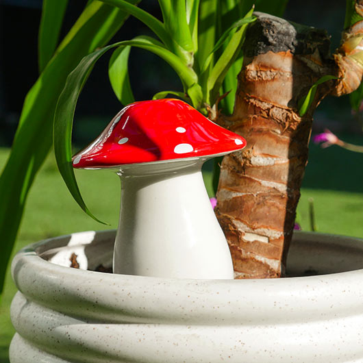 Gift Republic Novelty - Self Watering Mushroom