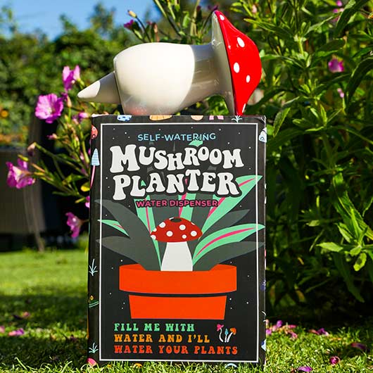 Gift Republic Novelty - Self Watering Mushroom