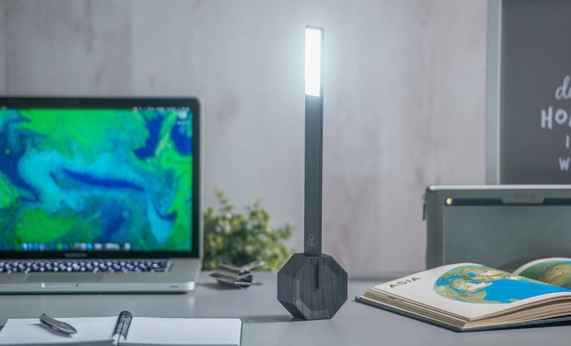 Gingko Design Octagon One Desk Lamp