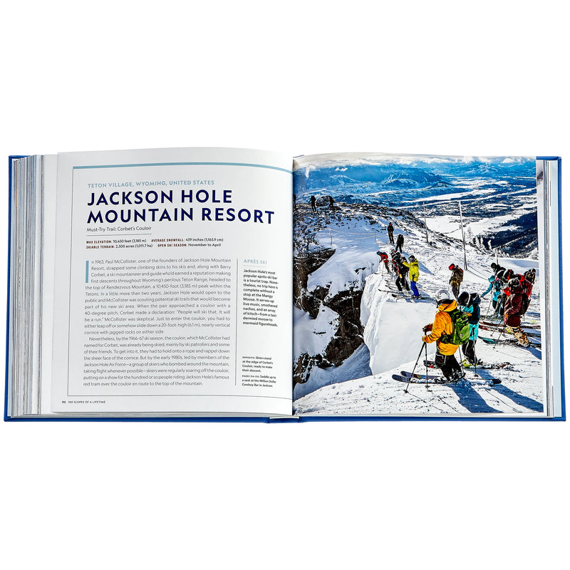 Graphic Image 100 Sloped of Lifetime