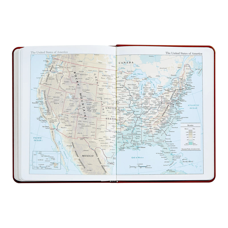 Graphic Image Desk Diary BL