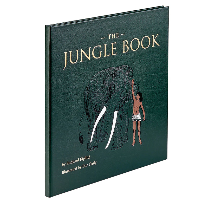 Graphic Image Jungle Book