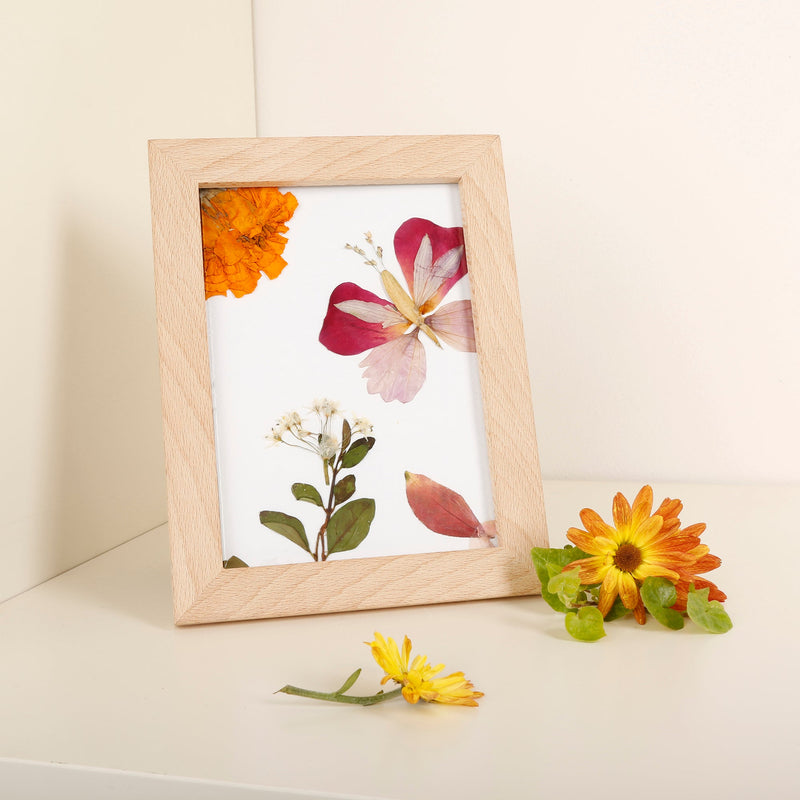 Kikkerland Huckleberry Pressed Flower Frame Art