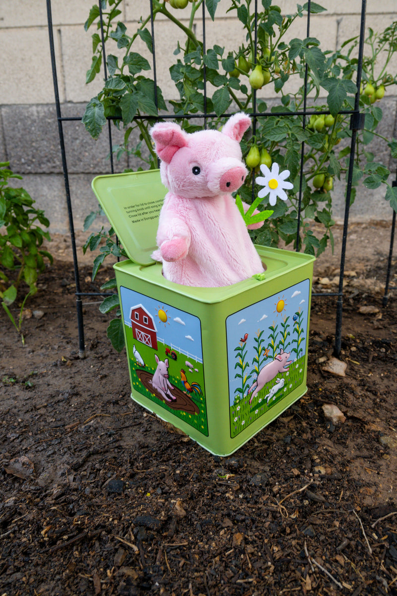 Jack Rabbit Creations Jack in the Box: Pig