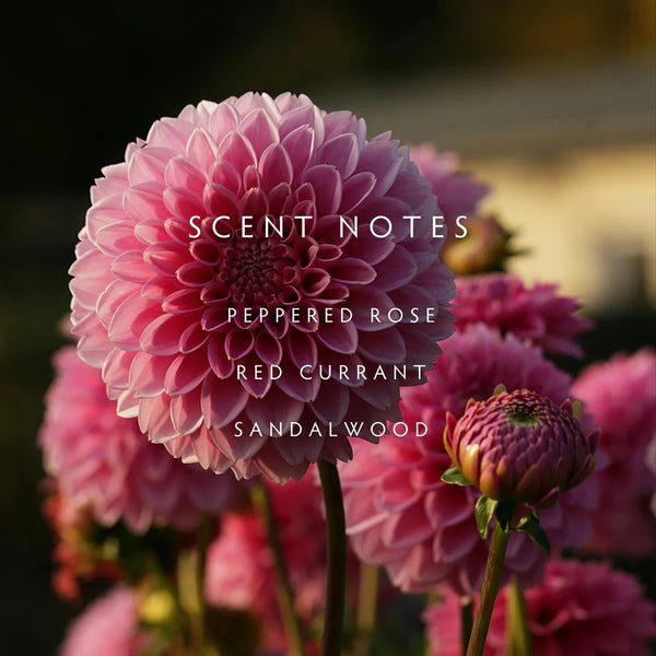 Linnea's Lights 2-Wick Dahlia