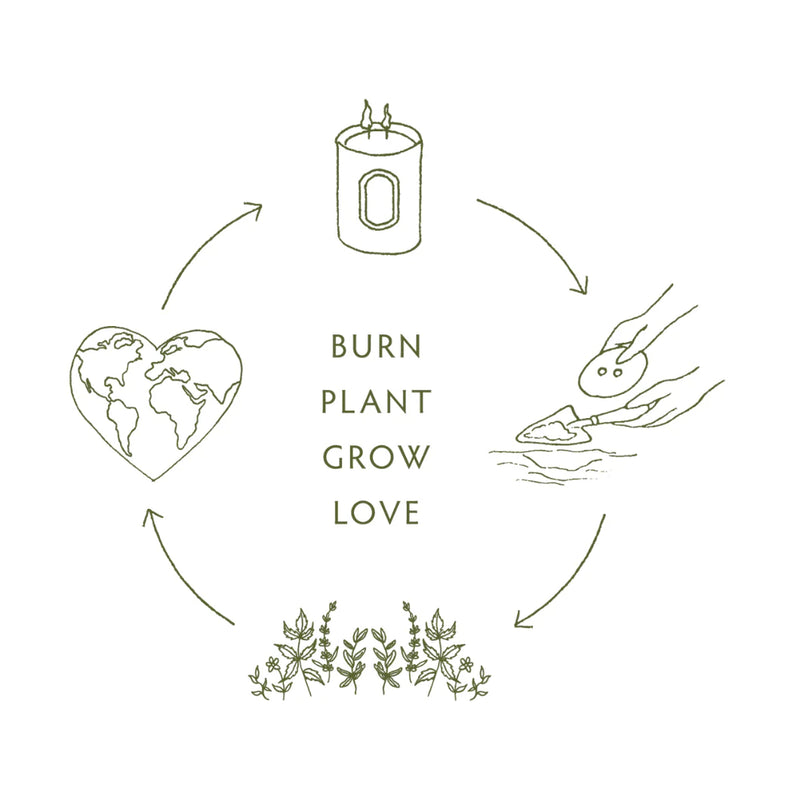 Linnea's Lights 2-Wick Heirloom Tomato