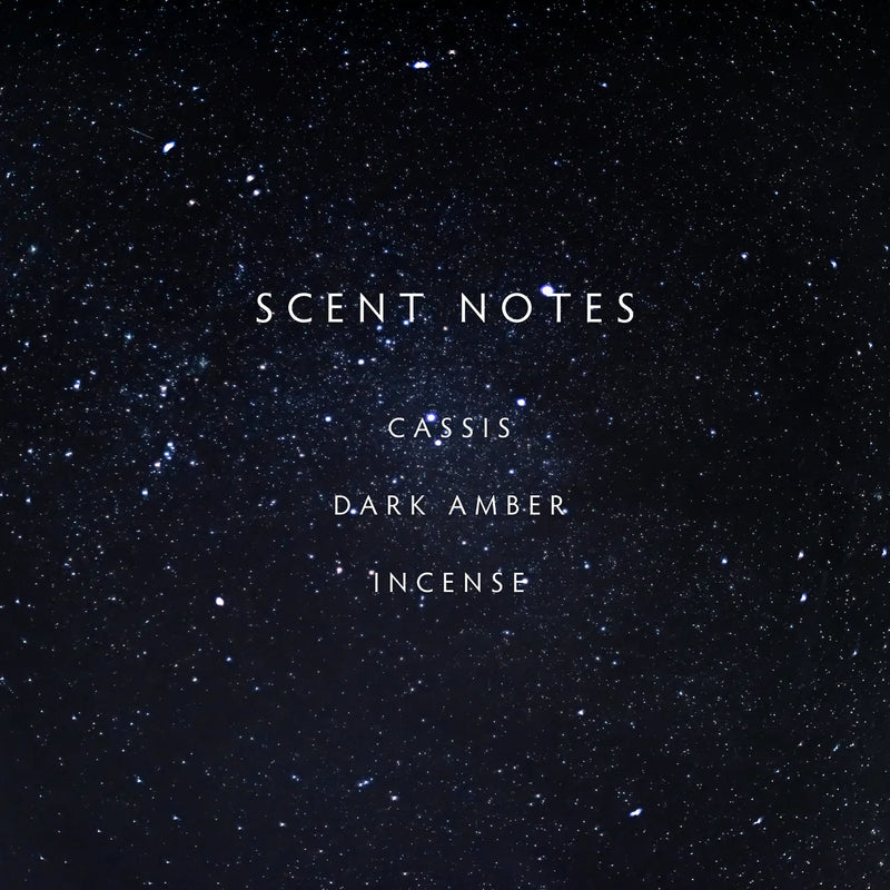 Linnea's Lights 2-Wick Midnight