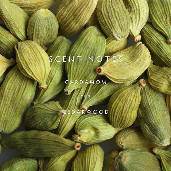 Linnea's Lights Petite Candle Cedar Cardamom