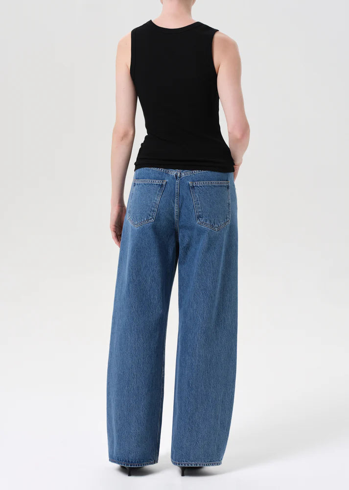 Agolde Low Curve Jean in Myth