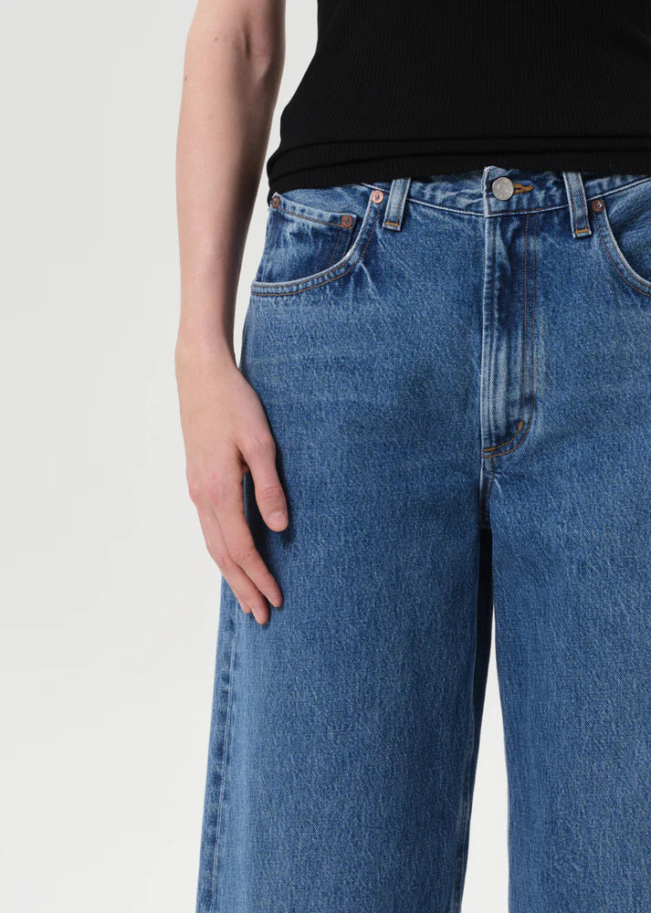 Agolde Low Curve Jean in Myth