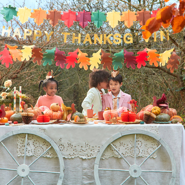 Meri Meri Mixed Thanksgiving Honeycomb Decorations