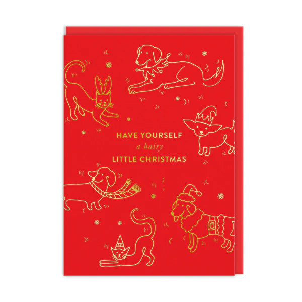 Ohh Deer Hairy Little Christmas Greeting Card