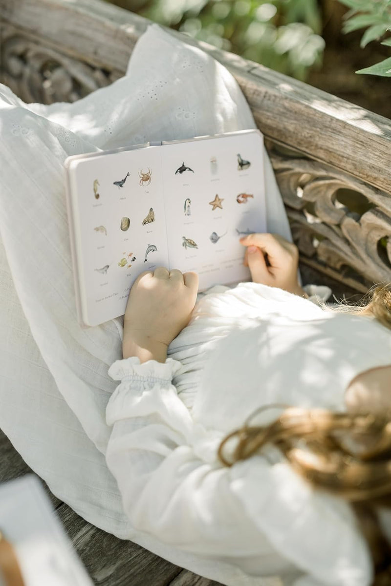 Our Little Library Volume 2