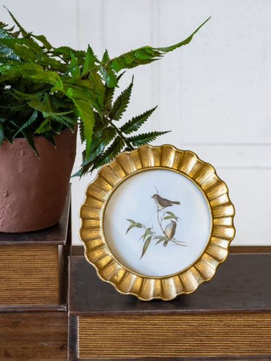 PD Home + Garden 4 X 4 Rd. Gold Photo Frame