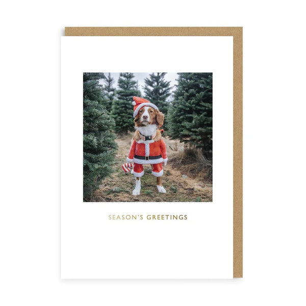 Ohh Deer Maple Santa Christmas Card