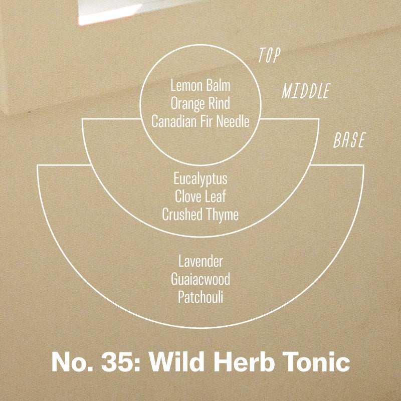 P.F. Candle Co. 7.2 oz Soy Candle Wild Herb Tonic