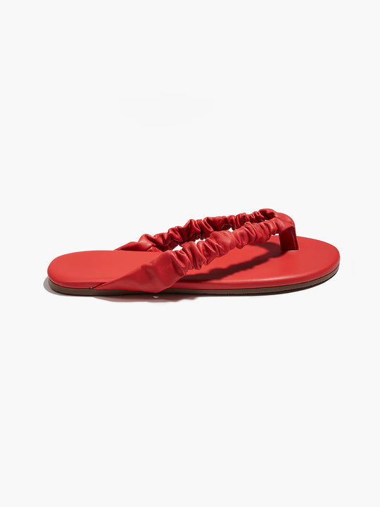 TKEES Savannah Red