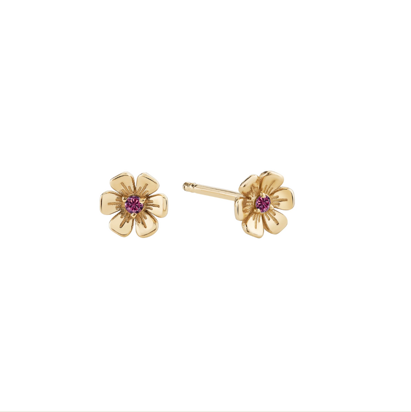 Ariel Gordon Jewelry In Bloom Birthstone Amethyst Studs - Pair