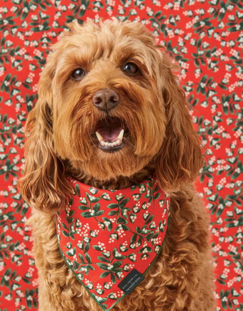 The Foggy Dog Rifle Paper Co. x TFD Mistletoe Dog Bandana